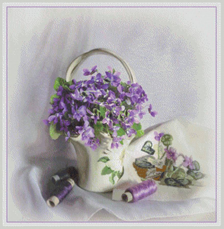 фиалочки - предпросмотр