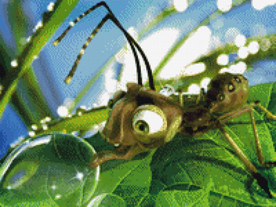 любопытный - мультик, муравей - предпросмотр