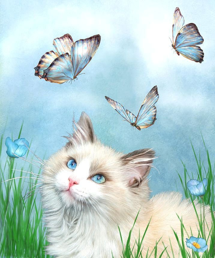 №784779 - оригинал