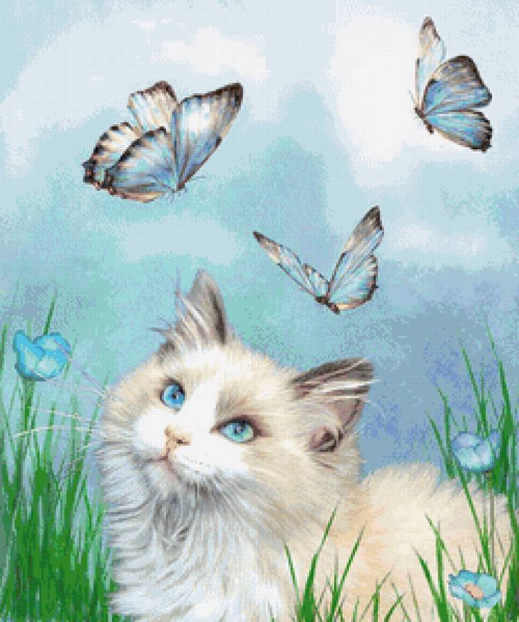 №784779 - предпросмотр