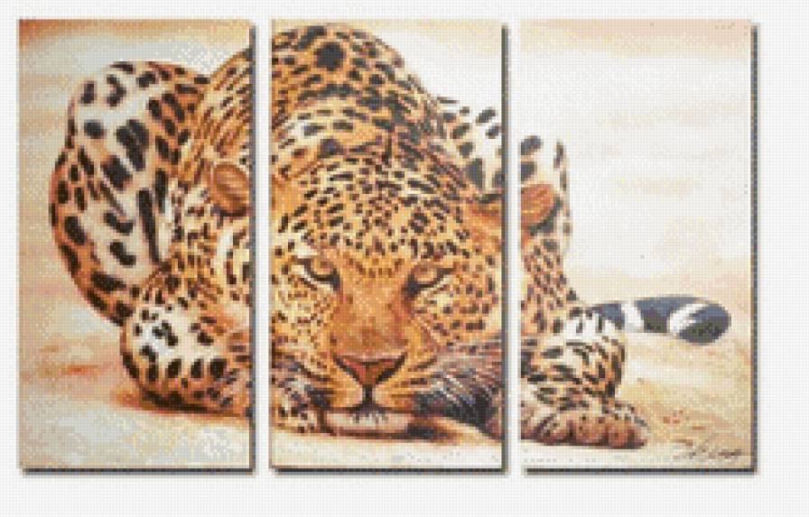 леопард три части - леопард - предпросмотр
