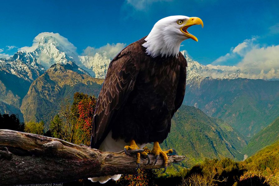 6 - оригинал