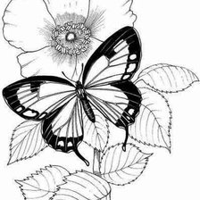 Схема вышивки «бабочка и цветок»