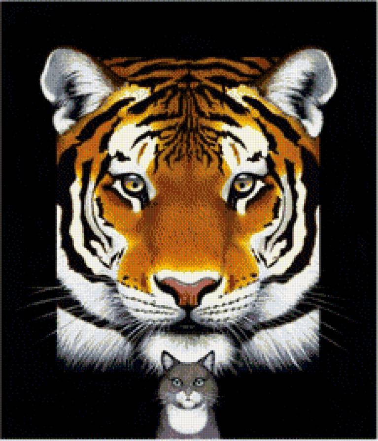 кошечки - хищники, животные, кот, тигр, кошка, кошки, тигры - предпросмотр