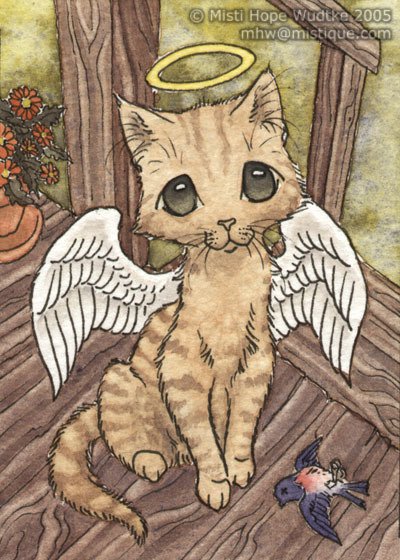 кот - кот, ангел - оригинал