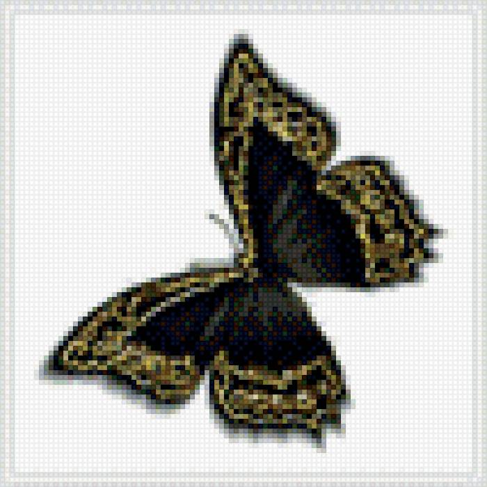 №785354 - предпросмотр