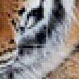 Предпросмотр схемы вышивки «Амурский тигр» (№785408)