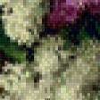 Предпросмотр схемы вышивки «серия "сирень"» (№785484)