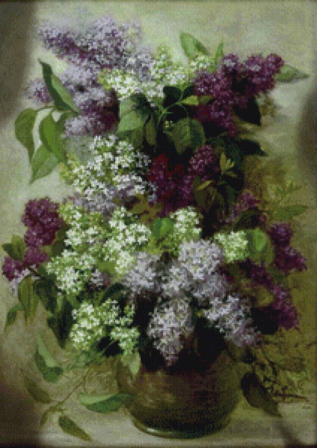 серия "сирень" - цветы.букеты.сирень - предпросмотр