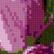 Предпросмотр схемы вышивки «Тюльпаны» (№785503)
