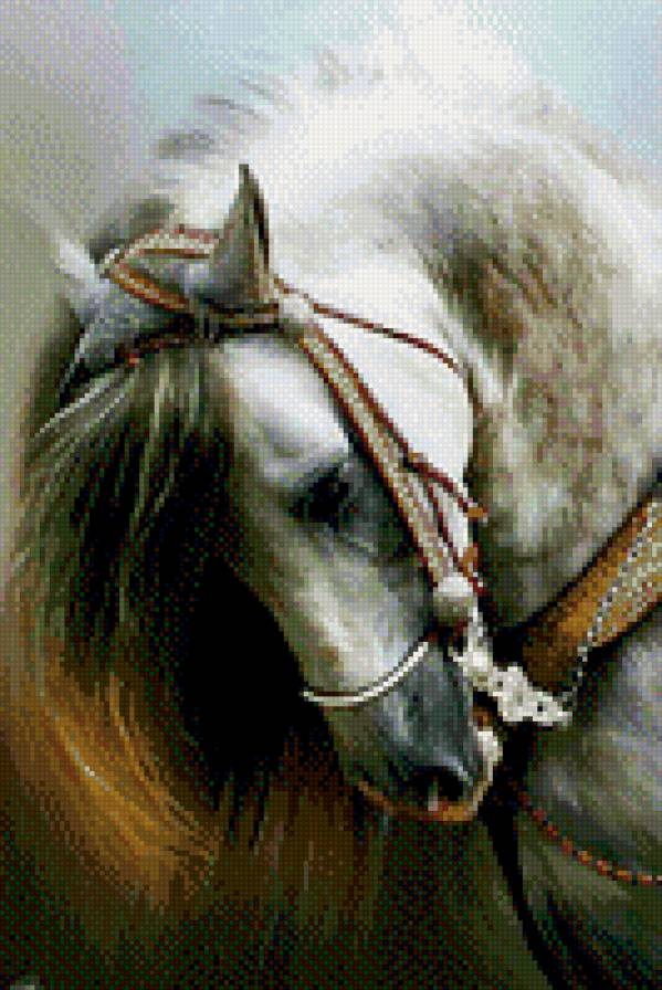 №785824 - лошади, звери, животные - предпросмотр