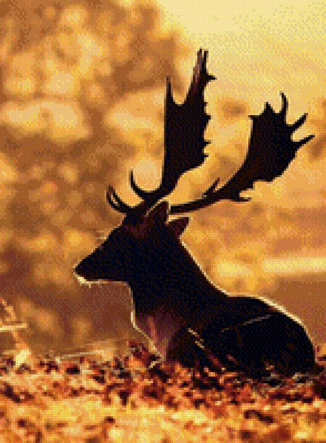 №785855 - лес, звери, животные, осень, олень - предпросмотр