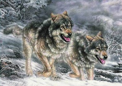 Волки - зимний пейзаж, новый год, животные, волки, снег - оригинал