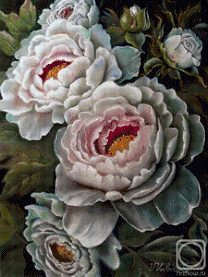 цветы - цветы - предпросмотр