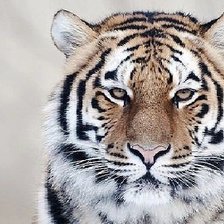 Схема вышивки «№786727»