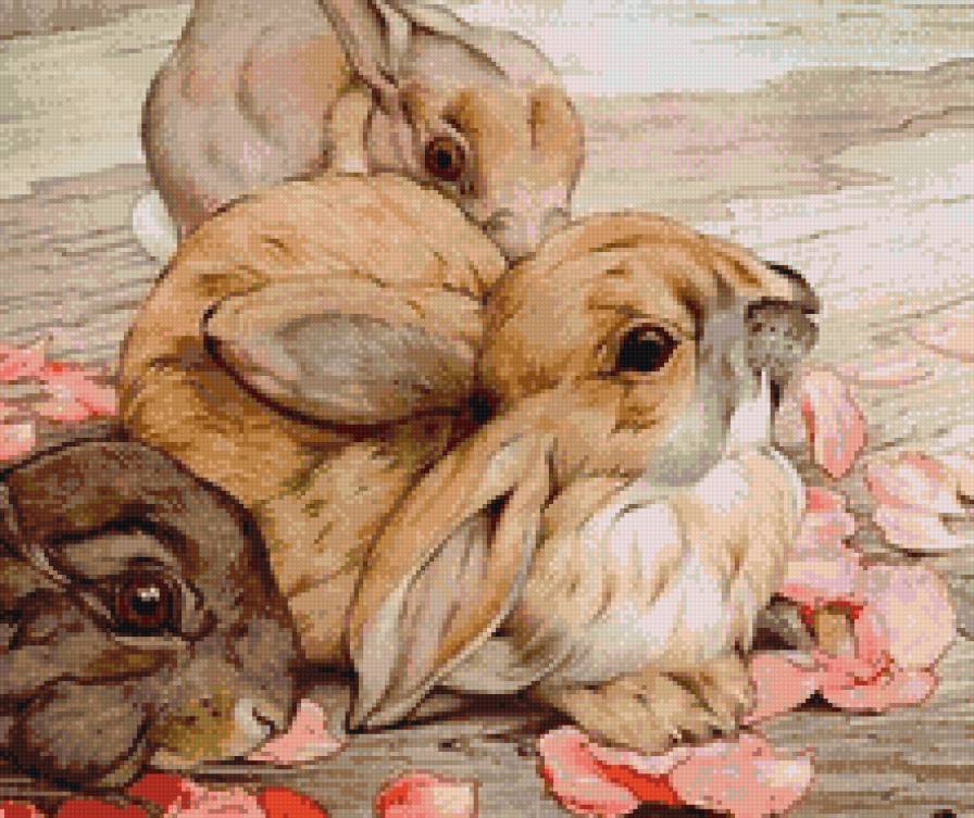 Кролики - дети - предпросмотр