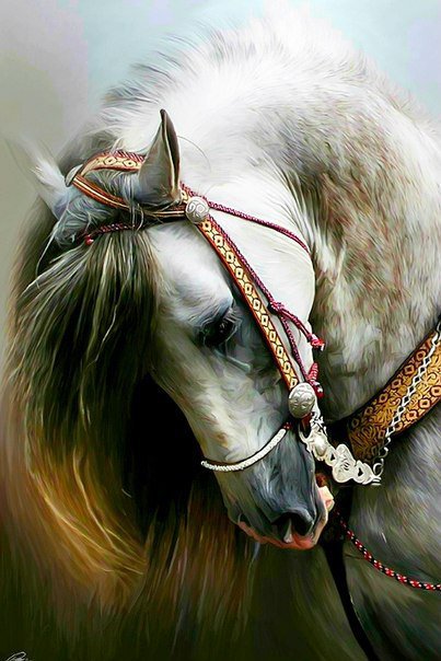 №786877 - оригинал