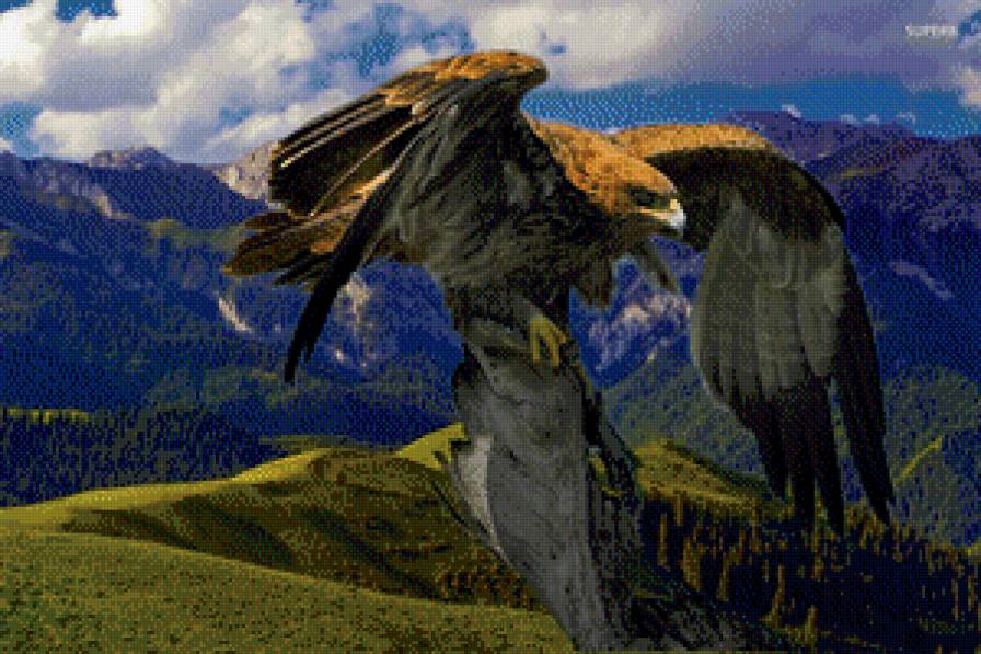 04 - предпросмотр