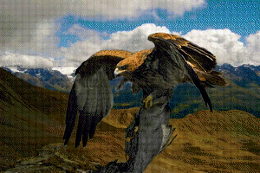 09 - предпросмотр