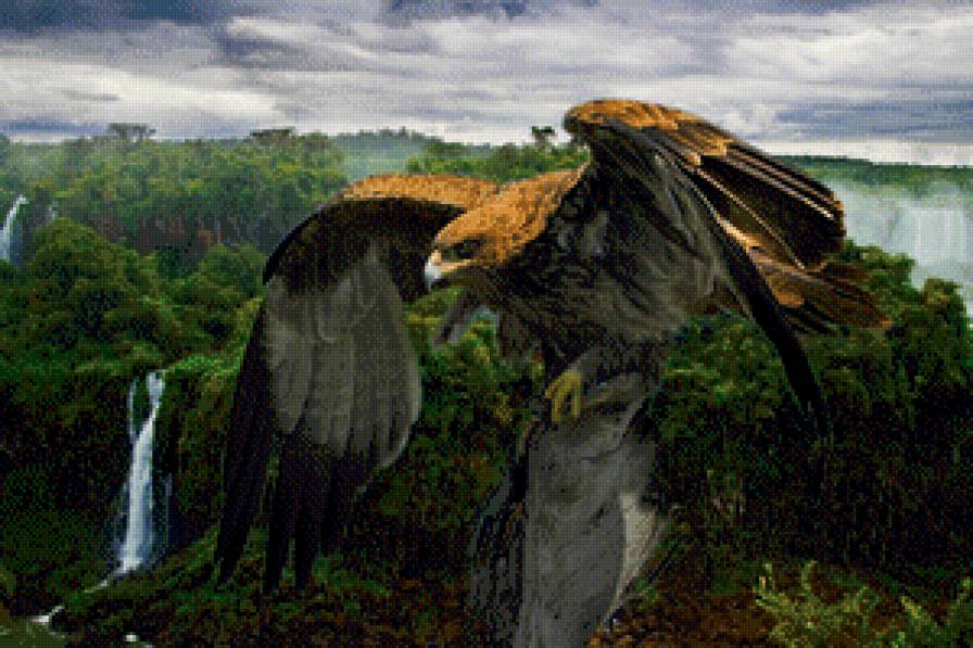 12 - предпросмотр