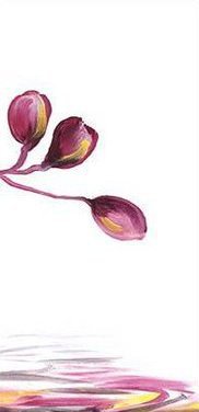 розовые орхидеи - 4 - орхидеи - оригинал