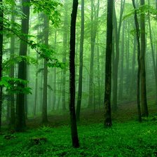 Схема вышивки «21»