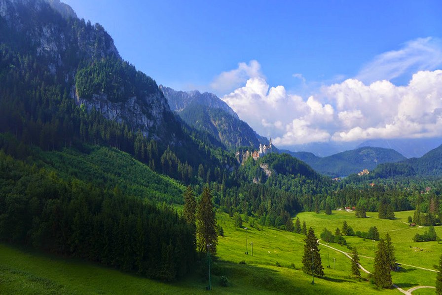 24 - оригинал