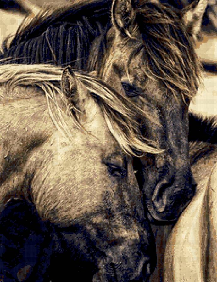 Пара - лошади, привязанность, пара, домашние животные - предпросмотр