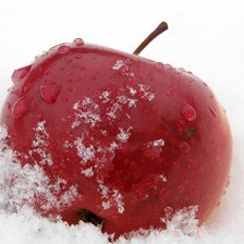 Схема вышивки «яблоко на снегу»