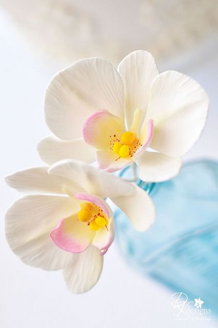 flowers - оригинал