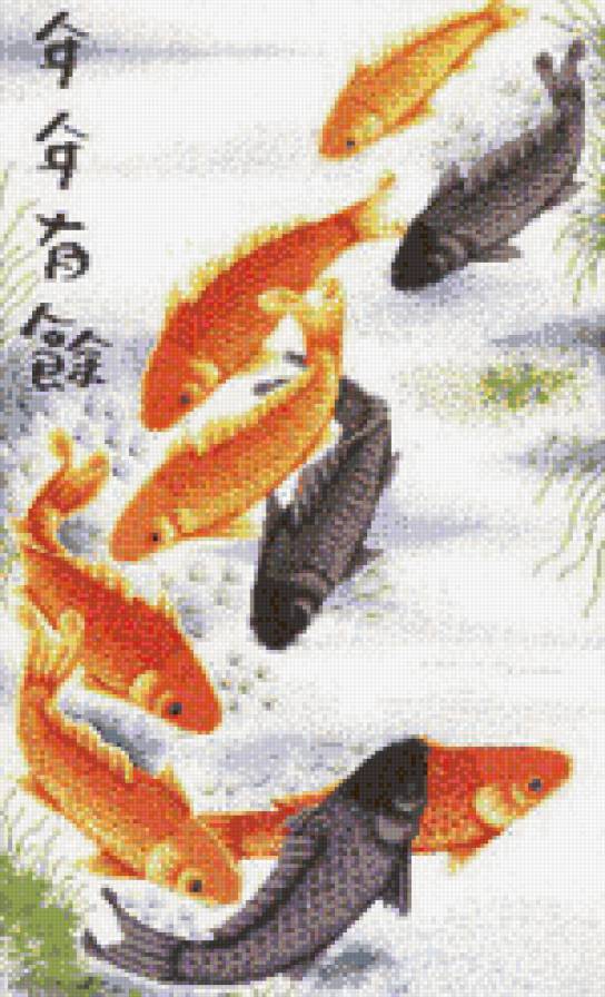 карпы_53 - предпросмотр