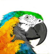 Схема вышивки «Попугай»