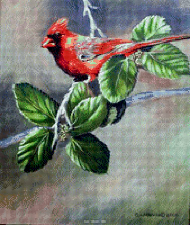 художник Susan Labouri 2 - картина, природа, красота, цветы, птицы, лето - предпросмотр