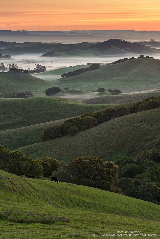 nature - оригинал