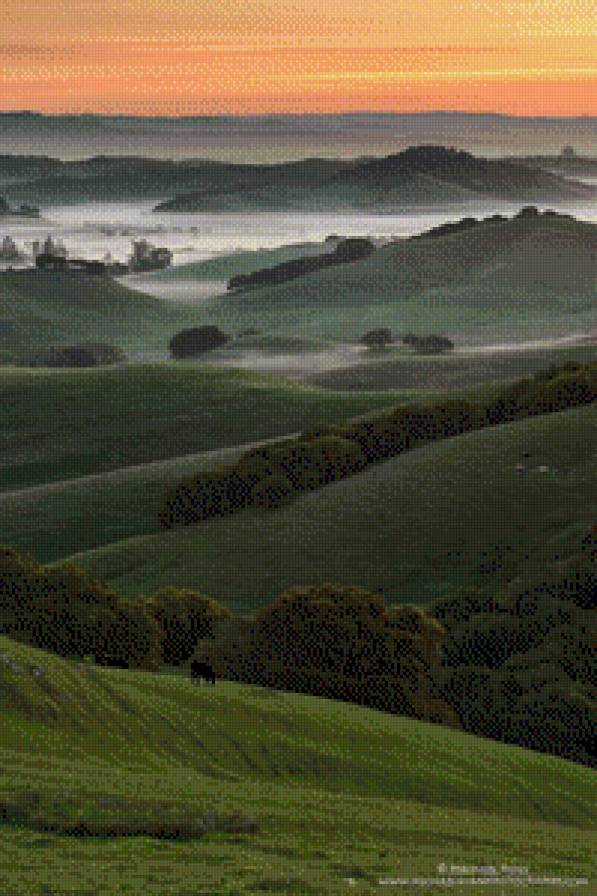 nature - предпросмотр