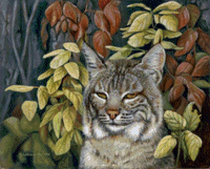 художник Susan Labouri 4 - природа, животные, красота, картина, рысь - предпросмотр