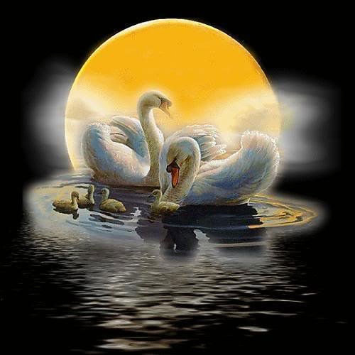 №787245 - оригинал