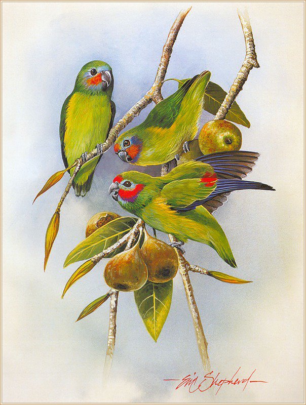 №787292 - оригинал