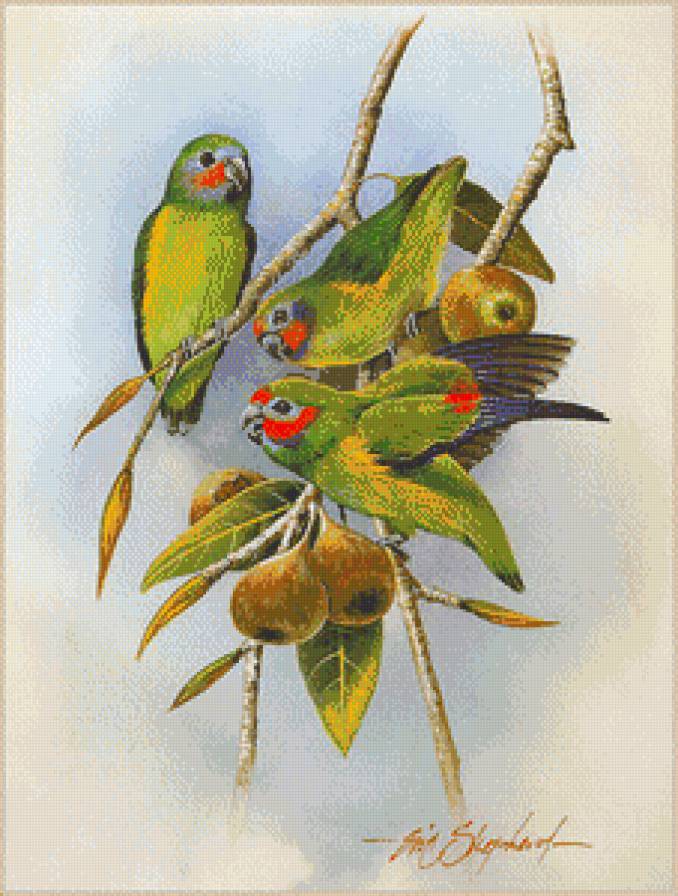 №787292 - предпросмотр