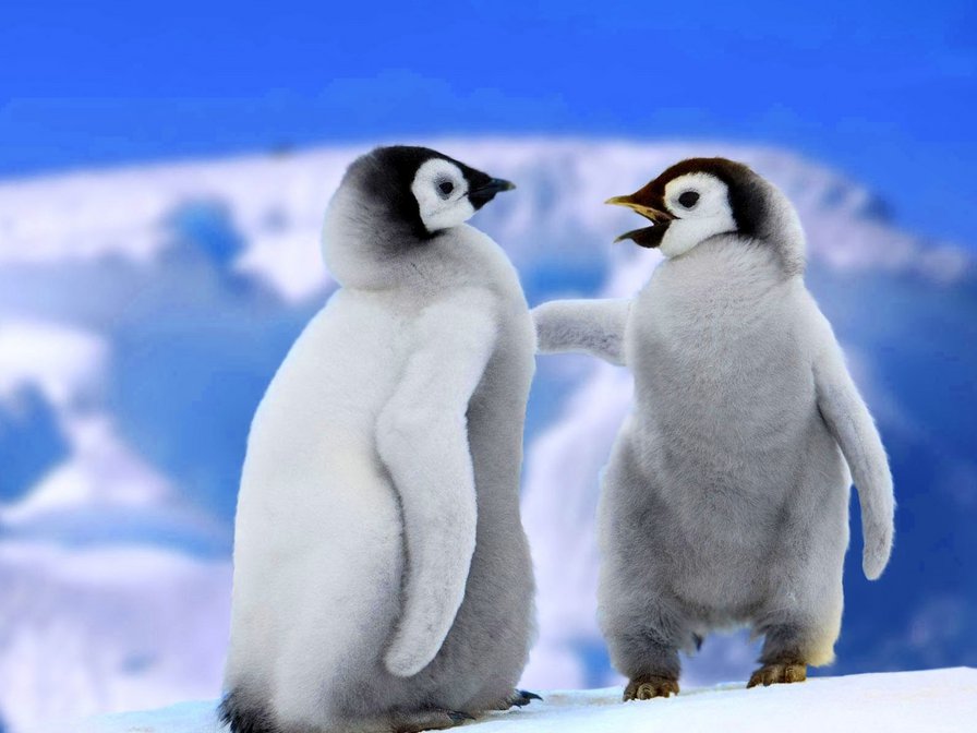 №787327 - оригинал