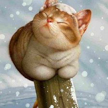 Схема вышивки «кошкаиснег»