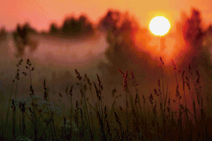туманное утро - природа, туман, солнце, пейзаж - предпросмотр