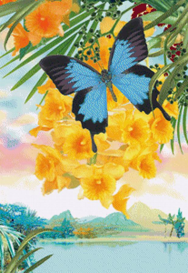 Бабочка и цветы - предпросмотр