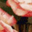 Предпросмотр схемы вышивки «букет роз» (№787813)