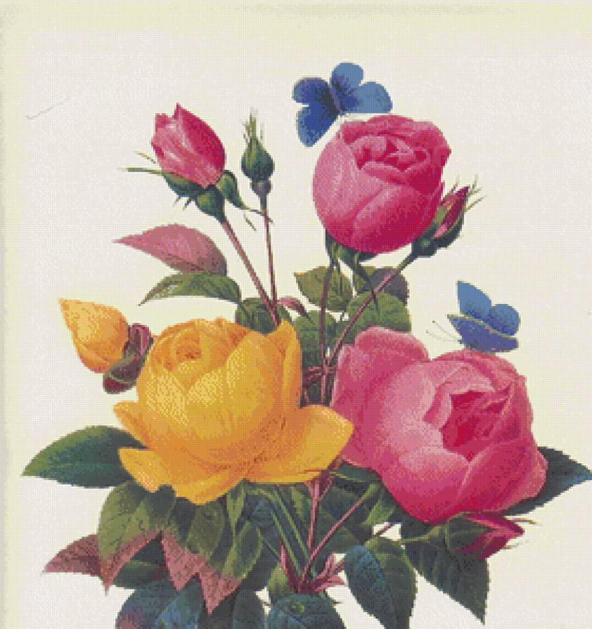 розы - розы, цветы - предпросмотр