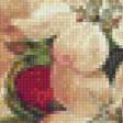 Предпросмотр схемы вышивки «цвет яблони» (№787829)
