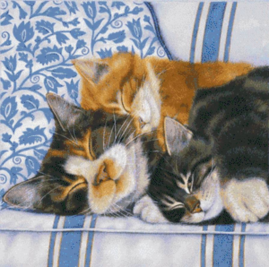 кошки - животные, кошки - предпросмотр