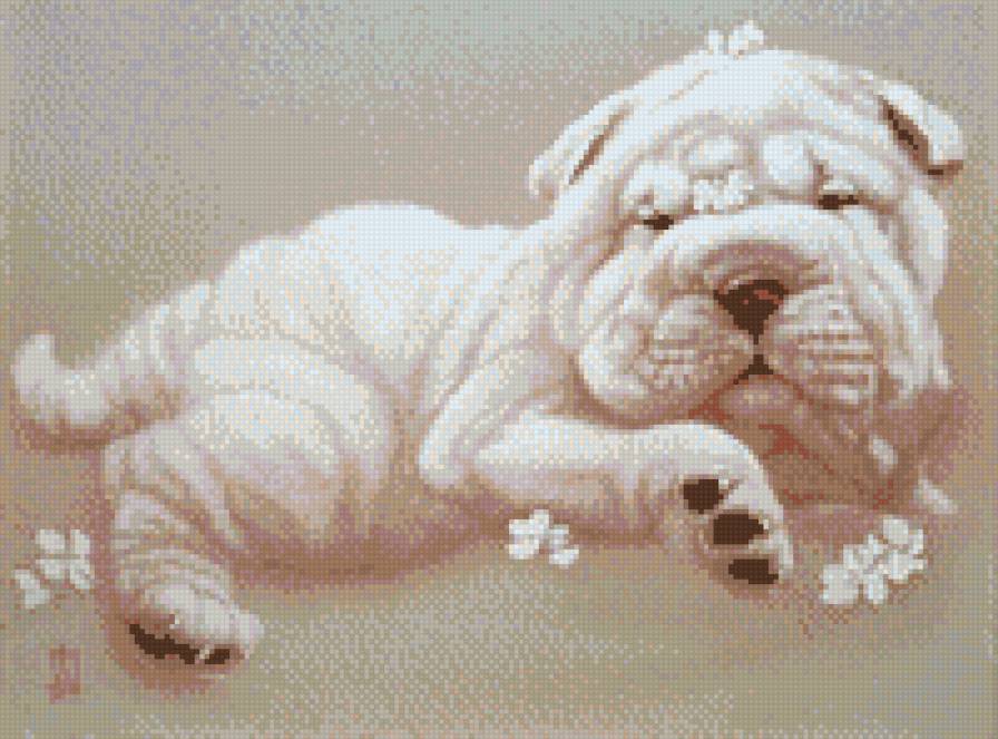 щенок - собака, щенок - предпросмотр