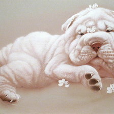 Схема вышивки «щенок»