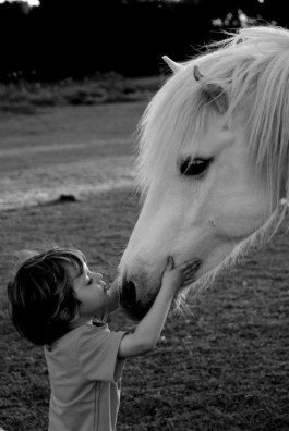 Ребенок с лошадью - ребенок, лошадь - оригинал